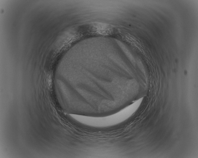 X0000081470595200702021834