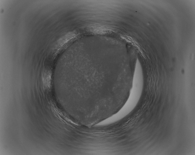 X0000081470596200702021834