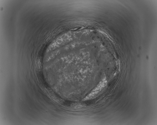 X0000081470597200702021834