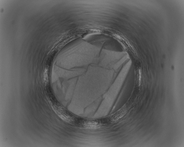 X0000081470598200702021834