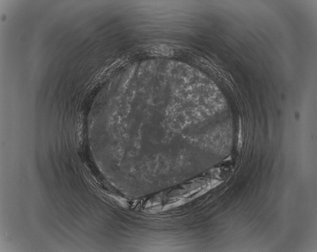 X0000081470600200702021834