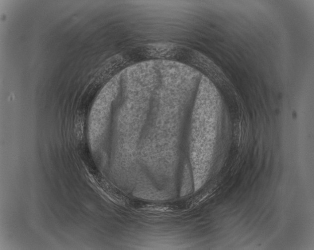 X0000081470602200702021834