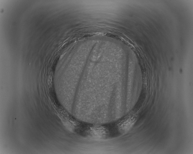 X0000081470603200702021834