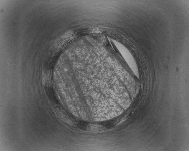 X0000081470605200702021834