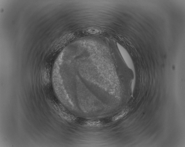 X0000081470606200702021834