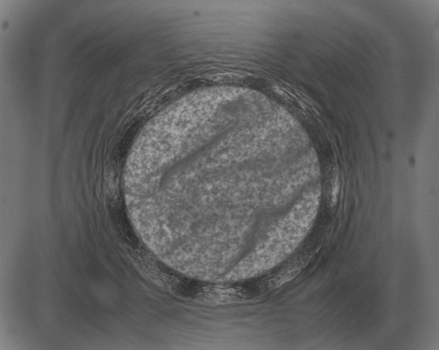 X0000081470607200702021834