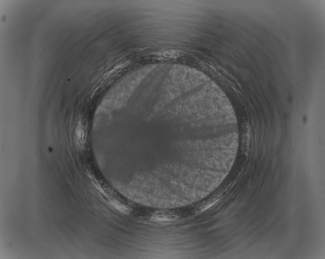 X0000081470608200702021834