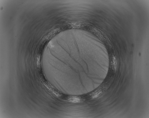 X0000081470610200702021834