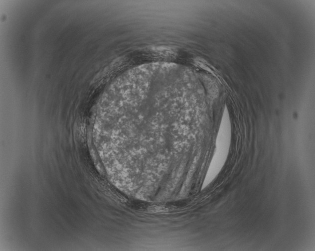 X0000081470613200702021834