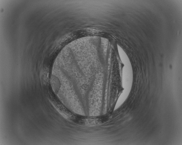 X0000081470615200702021834