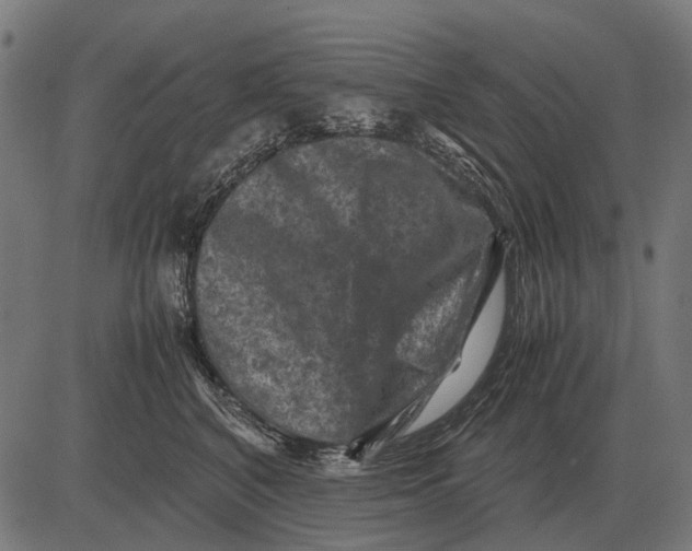 X0000081470616200702021834