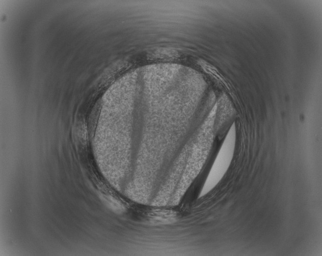 X0000081470617200702021834