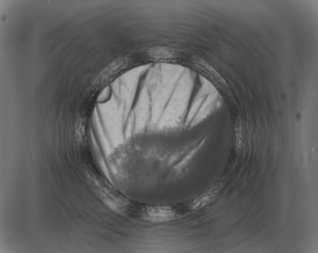 X0000081470618200702021834