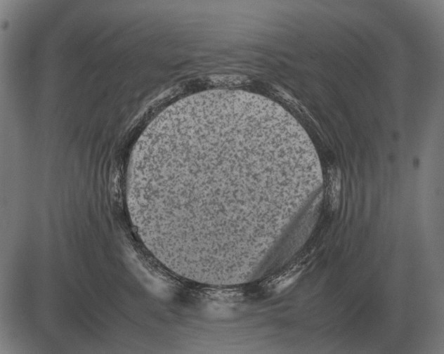 X0000081470619200702021834