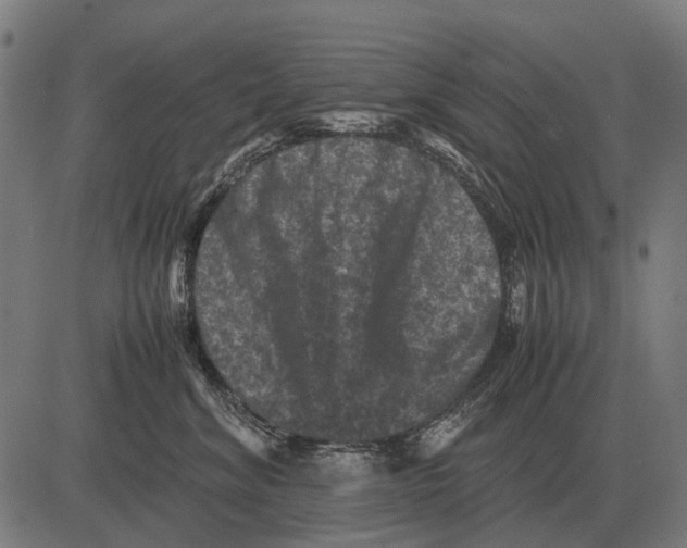 X0000081470620200702021834