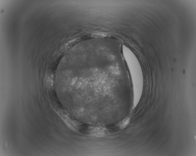 X0000081470621200702021834