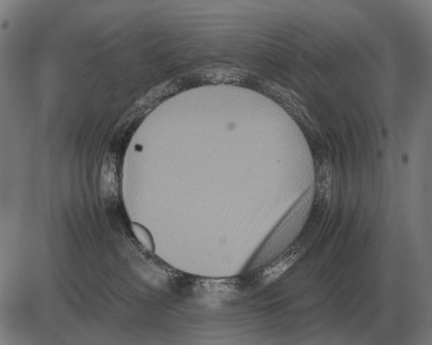 X0000081470622200702021834