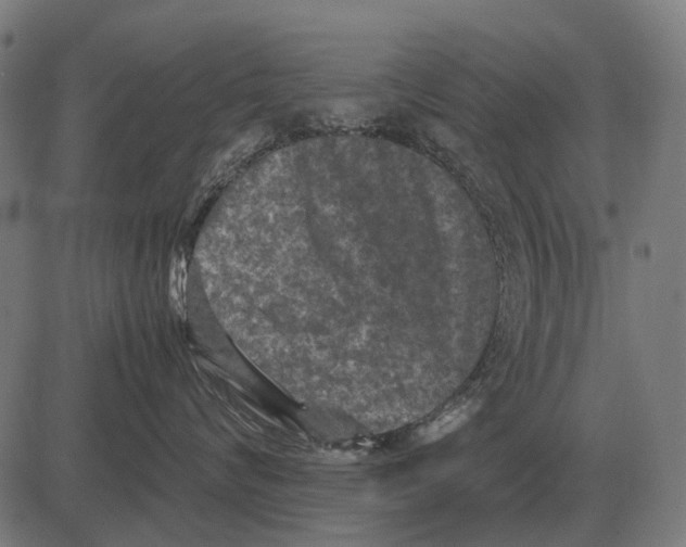 X0000081470624200702021834