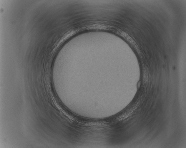 X0000081470625200702021833