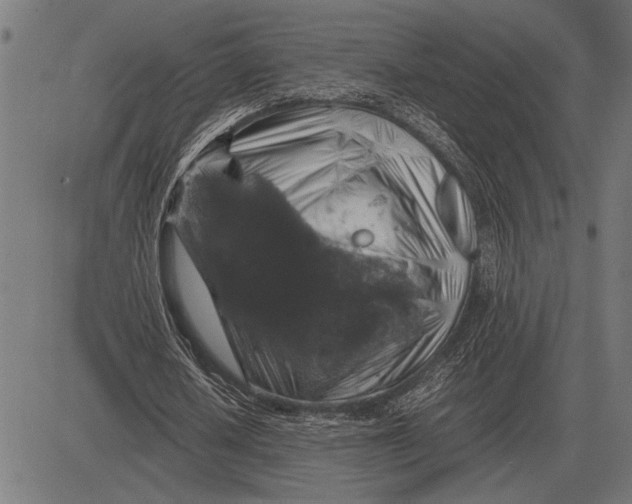 X0000081470626200702021833