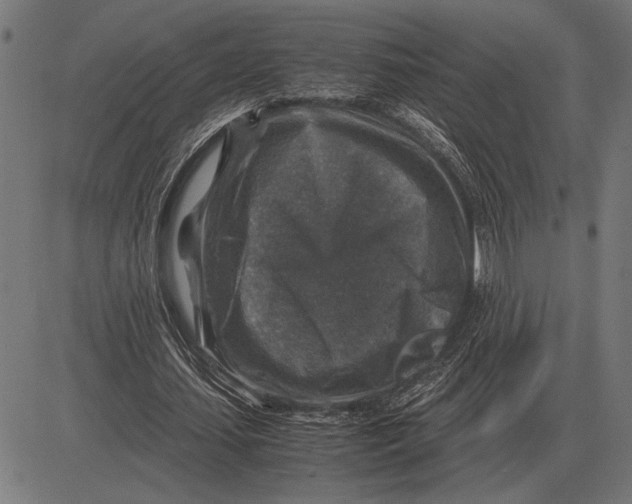 X0000081470627200702021833