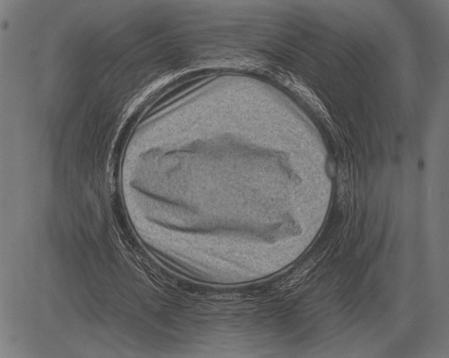 X0000081470628200702021833