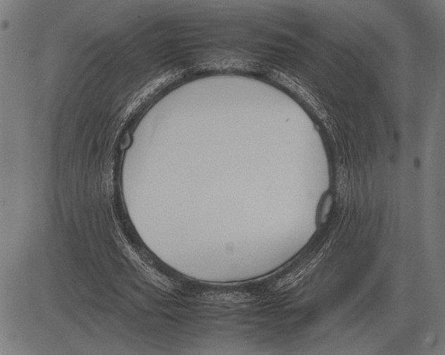 X0000081470629200702021833