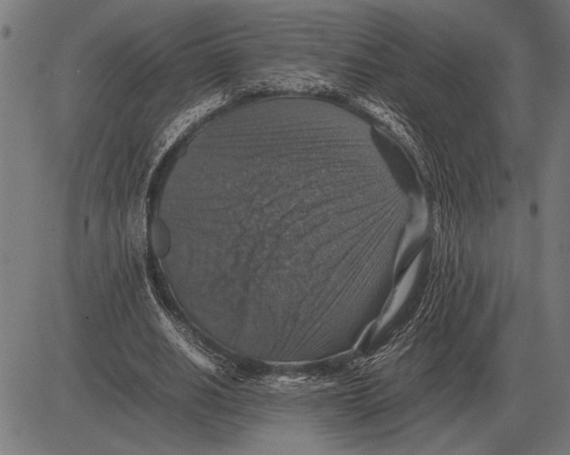 X0000081470630200702021833