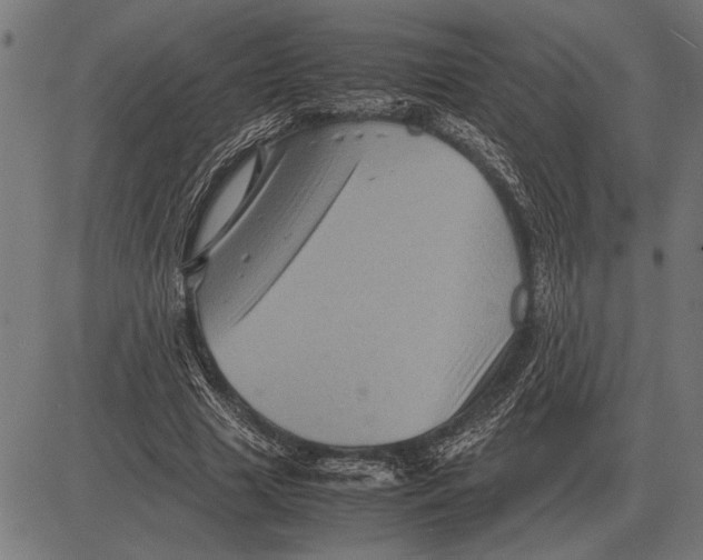 X0000081470633200702021833