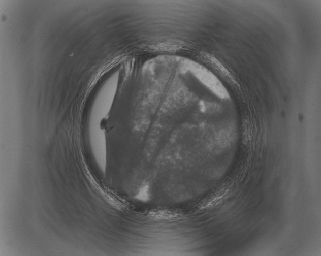 X0000081470634200702021833