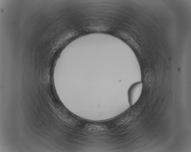 X0000081470635200702021833