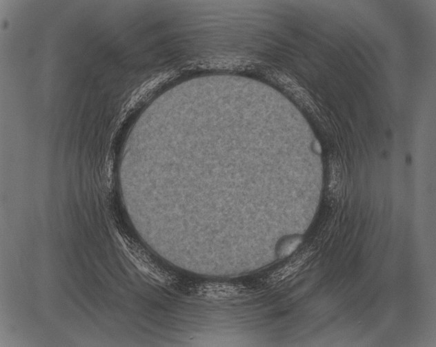 X0000081470636200702021833