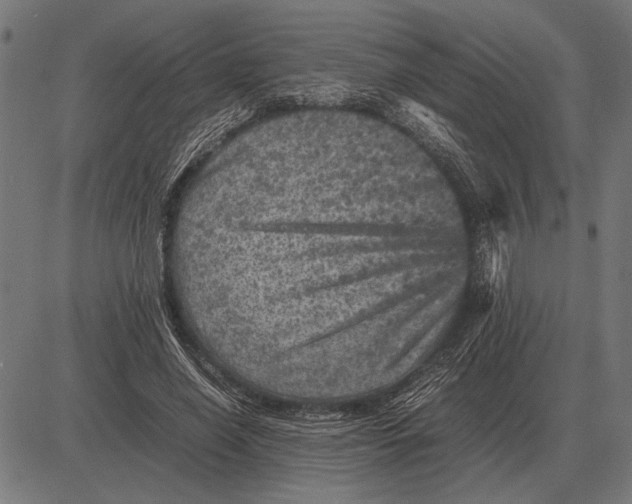 X0000081470638200702021833