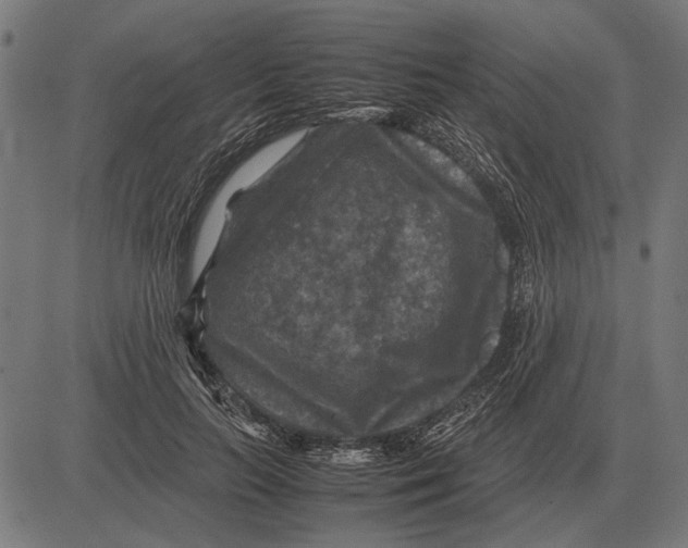 X0000081470647200702021833