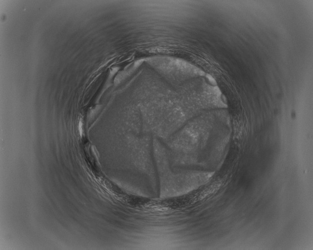 X0000081470648200702021833