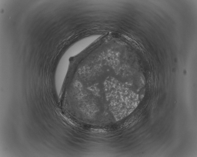 X0000081470649200702021833