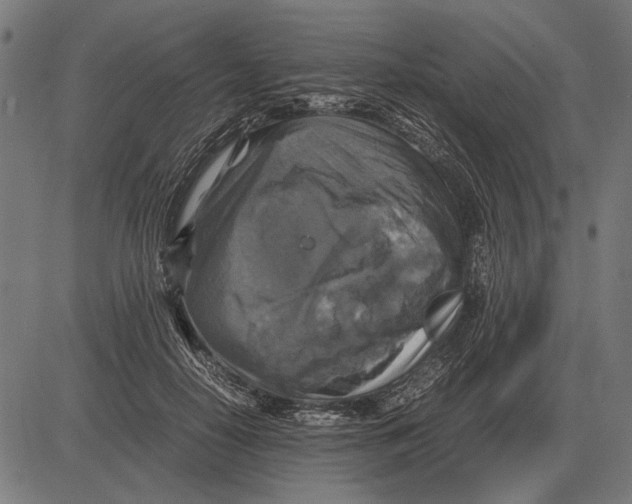 X0000081470650200702021833