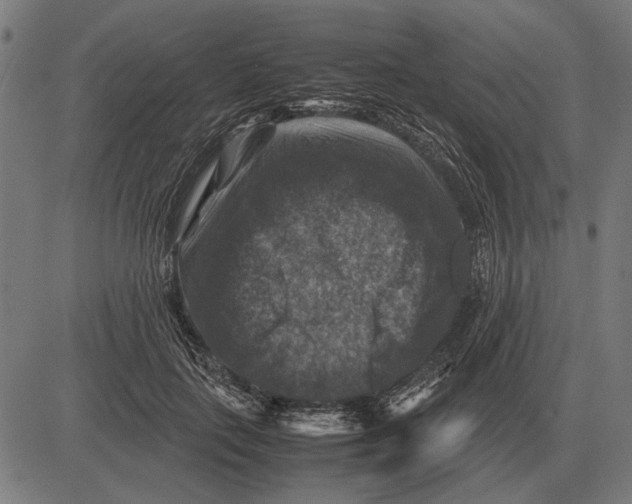 X0000081470651200702021833