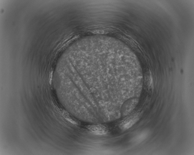 X0000081470652200702021833