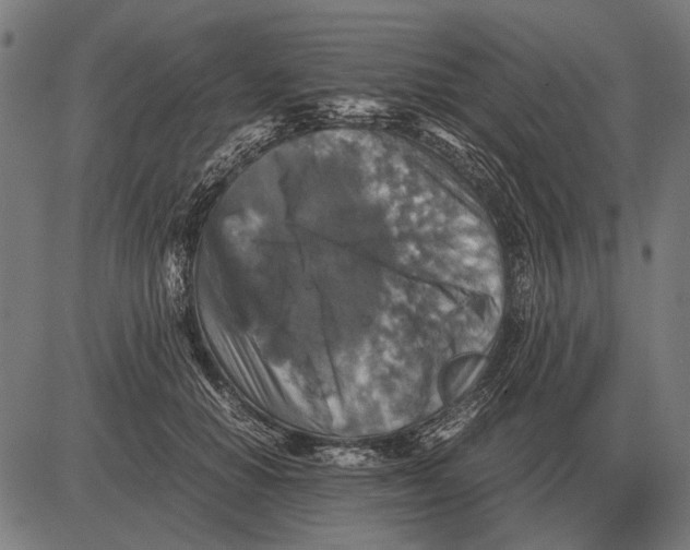 X0000081470654200702021833