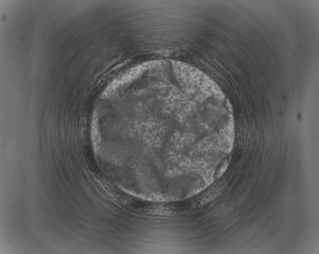 X0000081470656200702021833