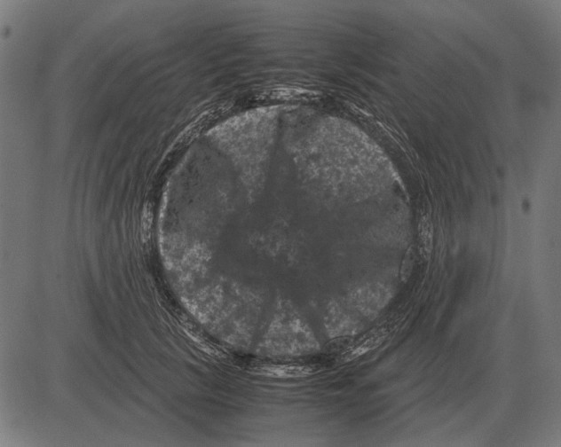 X0000081470657200702021833