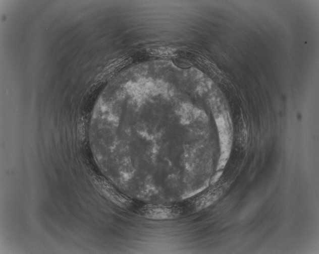 X0000081470658200702021833