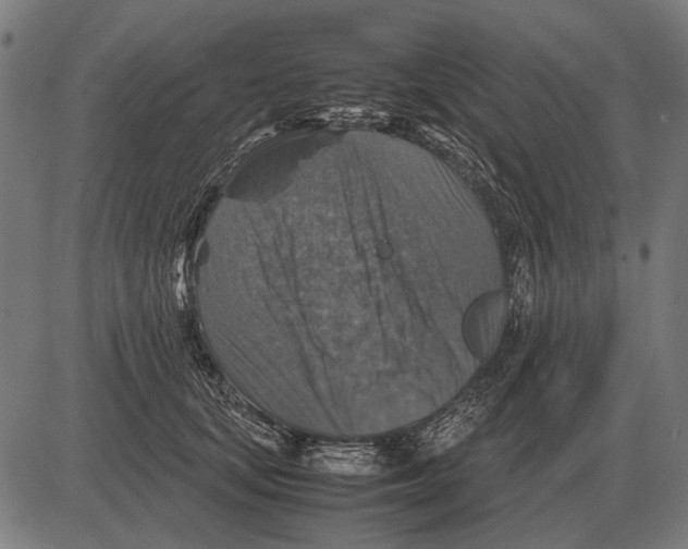 X0000081470659200702021833