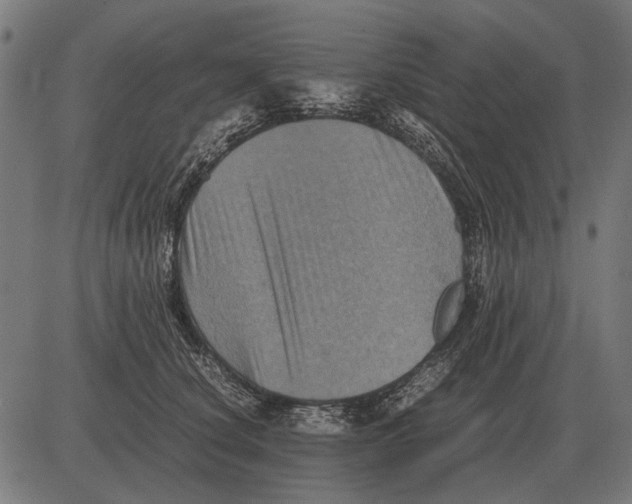 X0000081470660200702021833