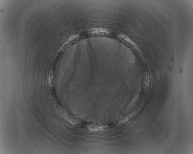 X0000081470661200702021834