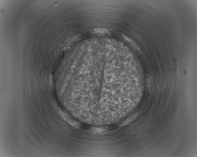 X0000081470662200702021834