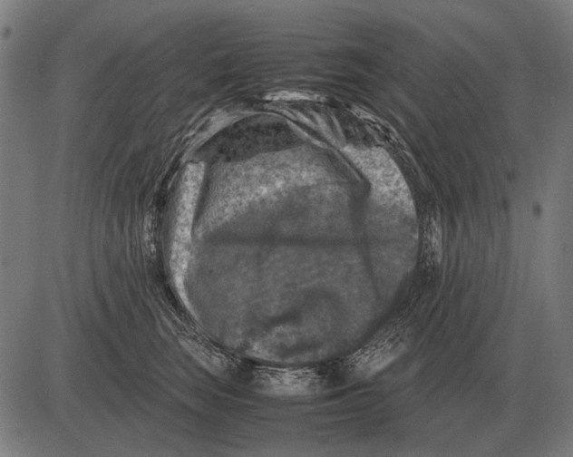 X0000081470663200702021834