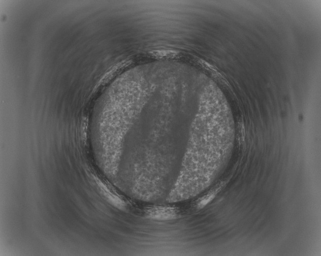 X0000081470664200702021834