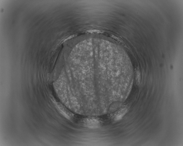 X0000081470668200702021834